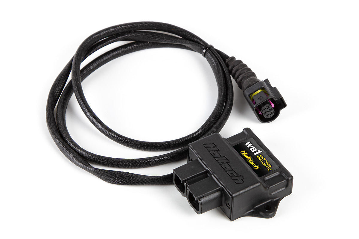 Haltech WB1 Bosch - Single Channel CAN O2 Wideband Controller Kit HT-159976 motorsport tuning solutions