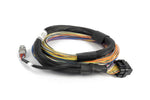 Haltech Nexus T2 / T1 Basic Universal Wire-in Harness HT-181200 motorsport tuning solutions