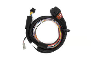 Nexus T2 / T1 Premium Universal Wire-in Harness - 2.5m (8') - HT-181201