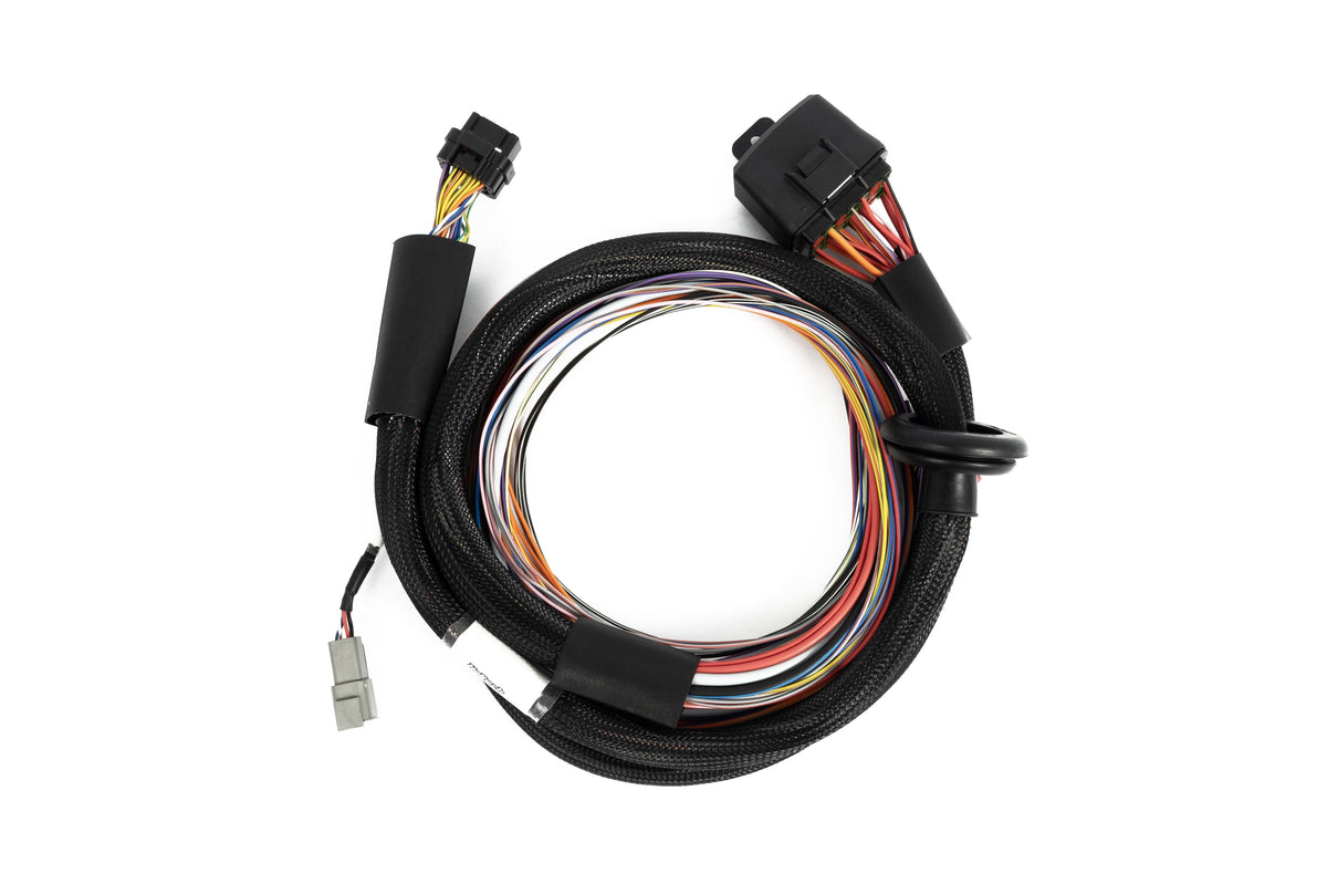 Haltech Nexus T2 / T1 Premium Universal Wire-in Harness - 2.5m (8') HT-181201 motorsport tuning solutions