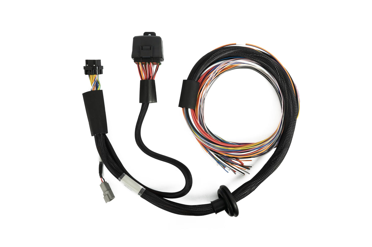 Haltech Nexus T2 / T1 Premium Universal Wire-in Harness - 2.5m (8') HT-181201 motorsport tuning solutions