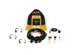 Haltech Nexus Rebel JZ - Main Terminated Harness HT-186400 motorsport tuning solutions