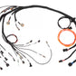 Nexus R3 Nissan RB 25/26/30 Terminated Harness - HT-186401