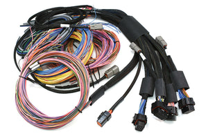 Haltech NEXUS R5 + Universal Wire-in Harness Kit HT-195200 motorsport tuning solutions