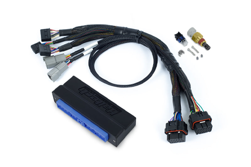 Haltech Nexus S2 Plug 'n' Play Adapter Harness Kit - Nissan Silvia S13 SR20 HT-212315 motorsport tuning solutions